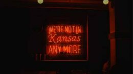 Everything You Need to Know About Neon Light - Gindestarled