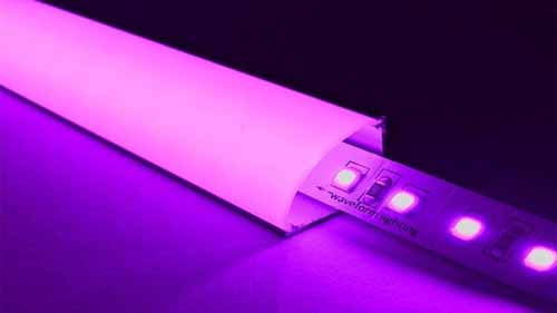 Purple LED