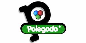 Polegada logo